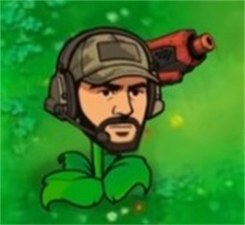 植物大战僵尸三角洲版手游