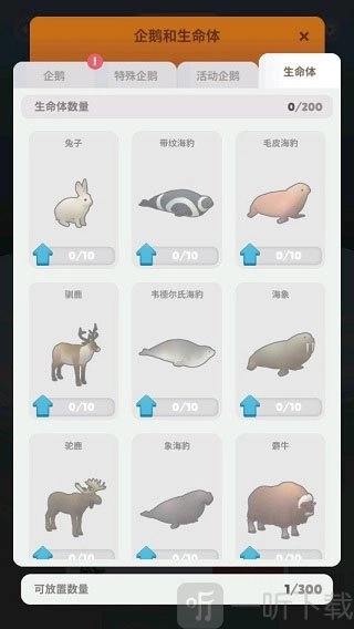 企鹅岛国际服