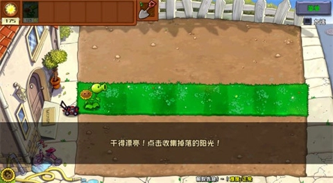 植物大战僵尸杂交重置版