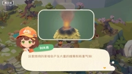 碳碳岛官方正版