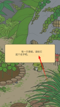 养青蛙v13下载