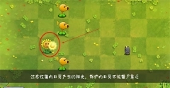 植物大战僵尸转基因版手游下载