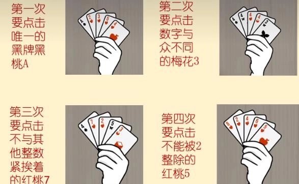 兔子先生的魔术秀