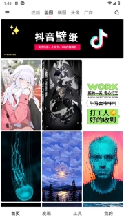 汽水壁纸安卓版