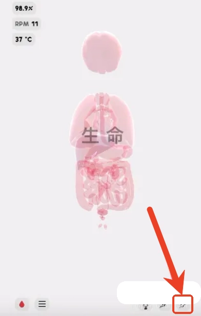 生命LIFE安卓版