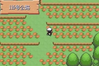 口袋妖怪珍珠手机版免费下载