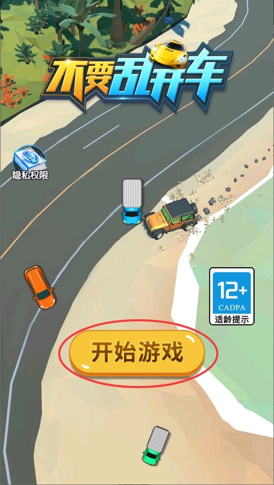 不要乱开车正版下载