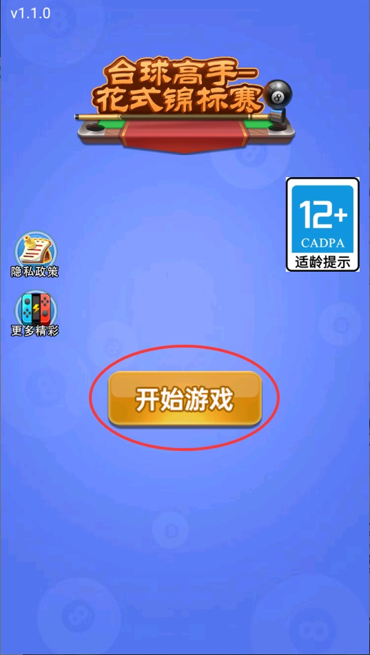 台球高手花式锦标赛安装包下载