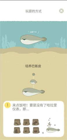 萨卡班甲鱼 第8张图