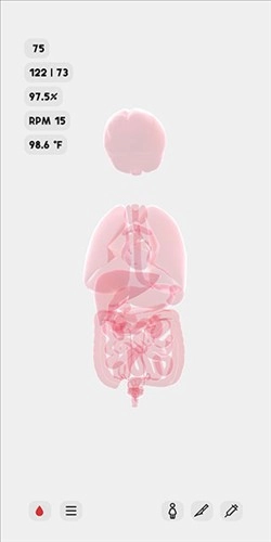 生命LIFE安卓版