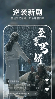 红果免费短剧tv