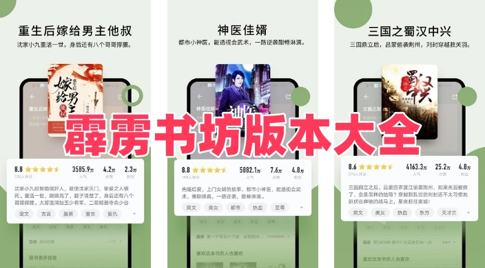 霹雳书坊版本大全