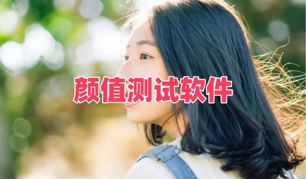 颜值测试软件