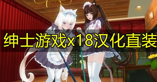 绅士游戏x18汉化直装