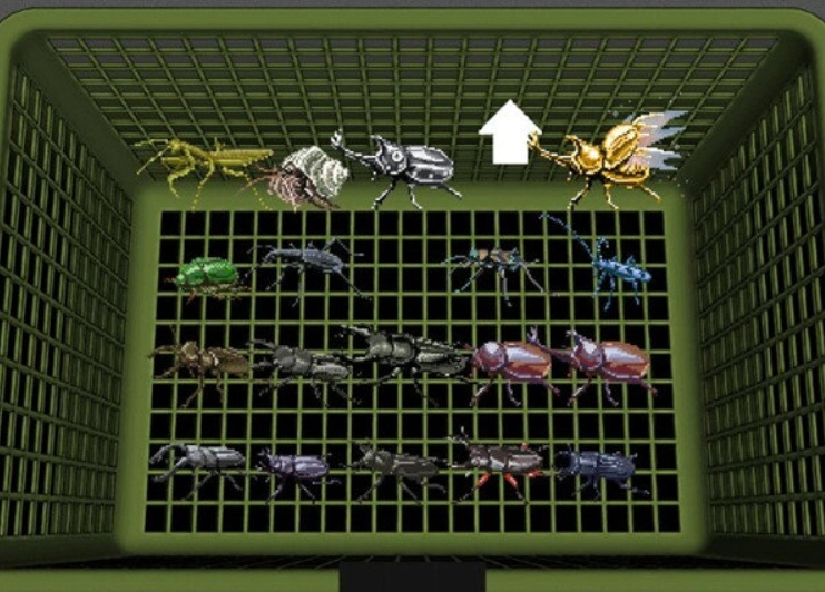 我的暑假秘密生活