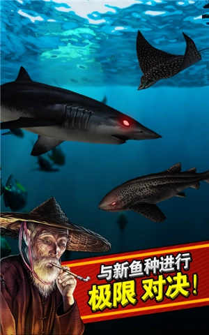 钓鱼发烧友最新版本下载截图3