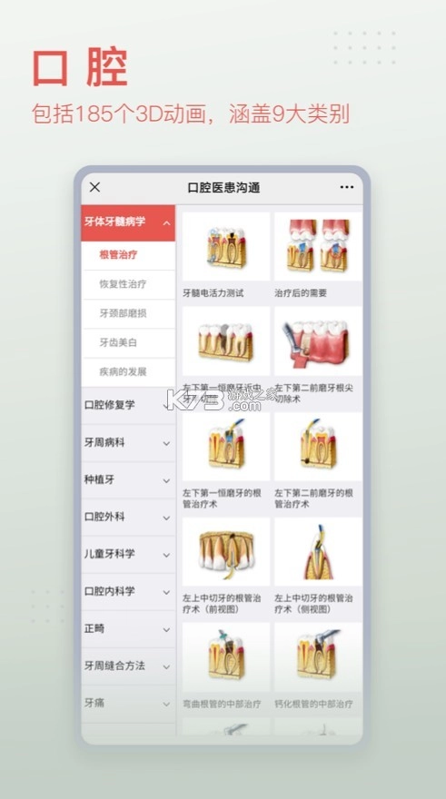 3Dbody解剖