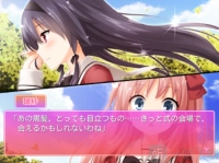花吻在上