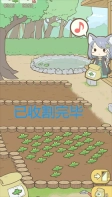 暖洋洋之森的药师正版