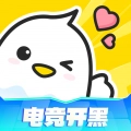 不鸽语音开黑