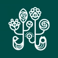 野兽派6.