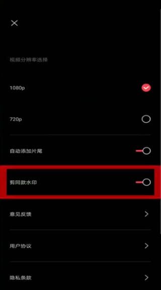 剪映Capcut