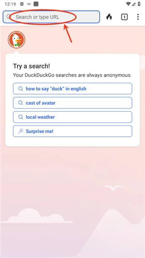 duckduckgo中文版