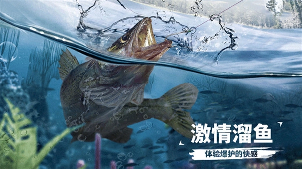 天天钓鱼