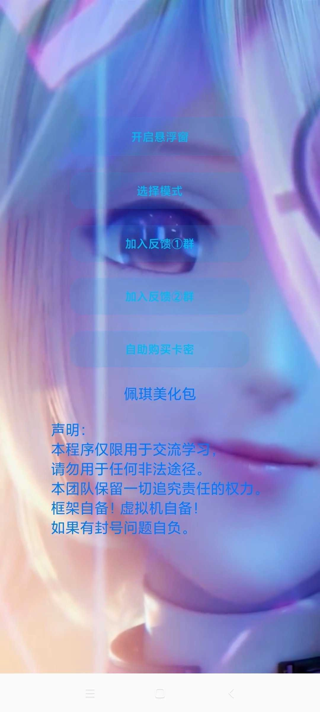 佩奇美化包辅助