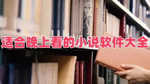 适合晚上看的小说软件