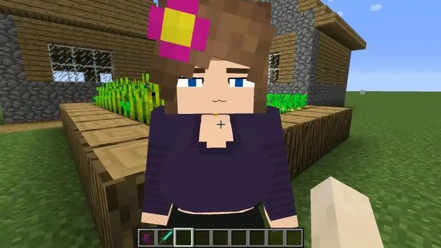 我的世界珍妮模组