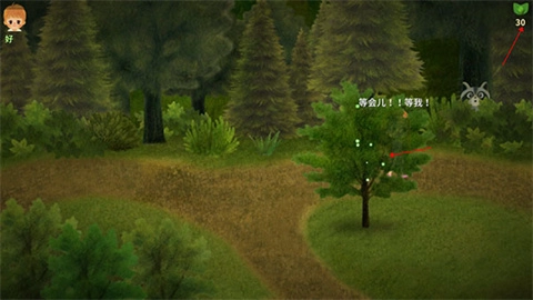 小浆果森林的故事2