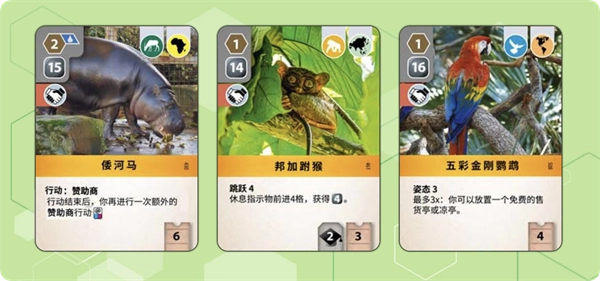 卡牌介绍