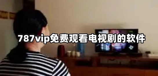 787vip免费观看电视剧的软件