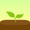 Forest专注森林安卓版