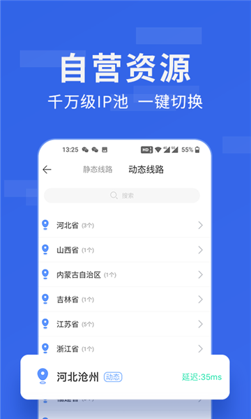 豌豆ip正版