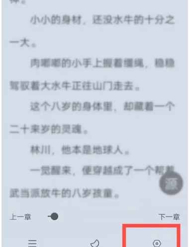 夜猫小说免费版