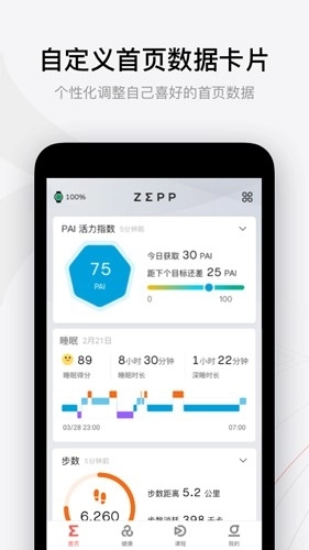 Zepplife9.