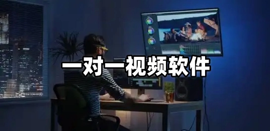 一对一视频软件