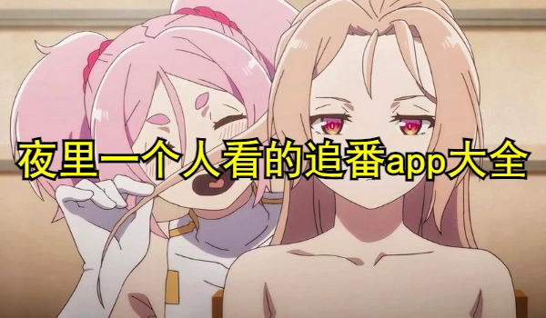 夜里一个人看的追番app