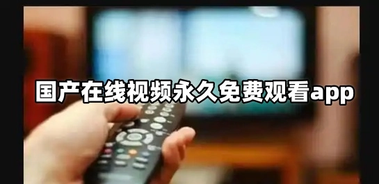 国产在线视频永久免费观看app