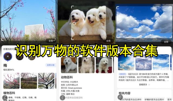识别万物的软件