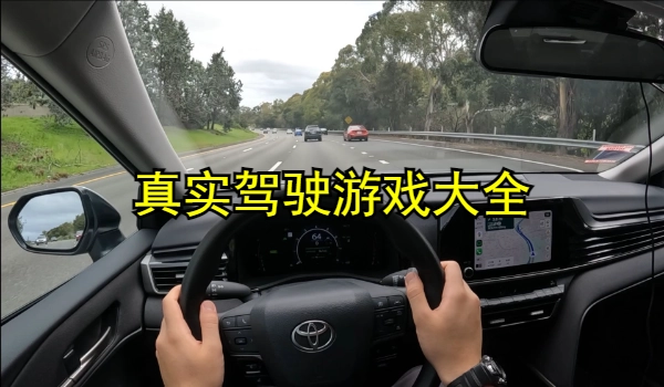 真实驾驶游戏大全