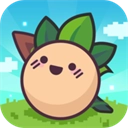 大头菜菜历险记