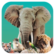 方舟动物园手机版