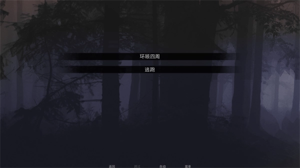 无处可藏汉化版