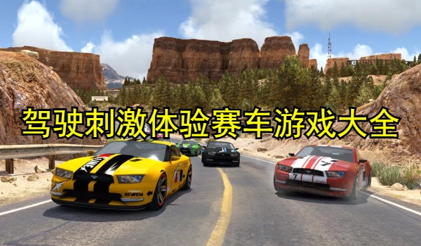 驾驶刺激体验赛车游戏大全