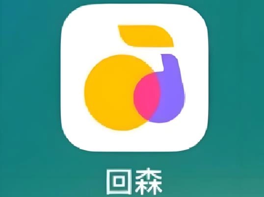 回森版本大全