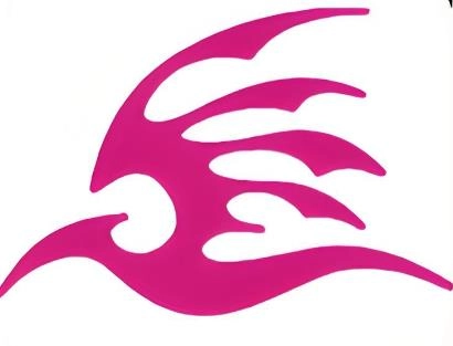 飞极速app版本大全