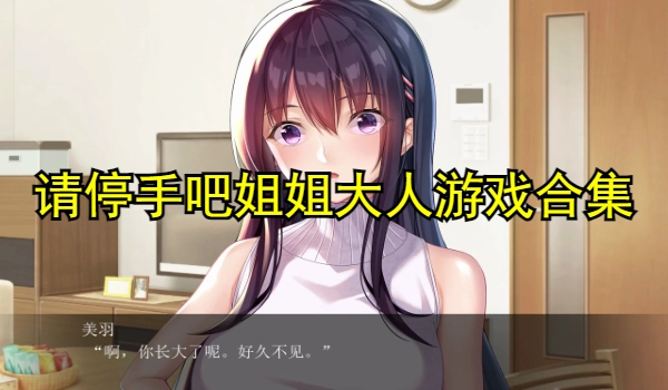请停手吧姐姐大人游戏合集